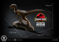 Jurassic Park - Prime Collectibles Statue 1/10 - Velociraptor Open Mouth