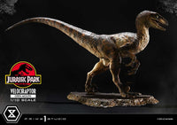 Jurassic Park - Prime Collectibles Statue 1/10 - Velociraptor Open Mouth