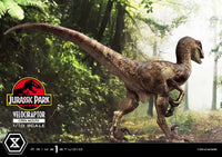 Jurassic Park - Prime Collectibles Statue 1/10 - Velociraptor Open Mouth