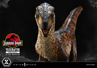 Jurassic Park - Prime Collectibles Statue 1/10 - Velociraptor Open Mouth