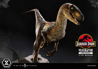 Jurassic Park - Prime Collectibles Statue 1/10 - Velociraptor Open Mouth