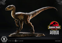 Jurassic Park - Prime Collectibles Statue 1/10 - Velociraptor Closed Mouth