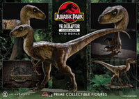 Jurassic Park - Prime Collectibles Statue 1/10 - Velociraptor Closed Mouth