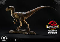 Jurassic Park - Prime Collectibles Statue 1/10 - Velociraptor Closed Mouth