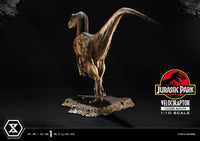 Jurassic Park - Prime Collectibles Statue 1/10 - Velociraptor Closed Mouth