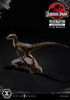 Jurassic Park - Prime Collectibles Statue 1/10 - Velociraptor Closed Mouth