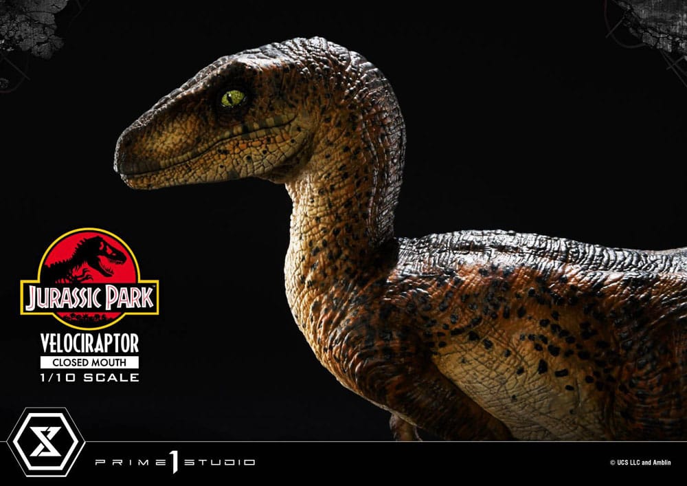 Jurassic Park - Prime Collectibles Statue 1/10 - Velociraptor Closed Mouth