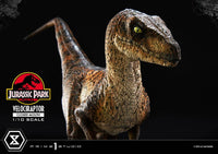 Jurassic Park - Prime Collectibles Statue 1/10 - Velociraptor Closed Mouth