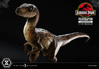 Jurassic Park - Prime Collectibles Statue 1/10 - Velociraptor Closed Mouth