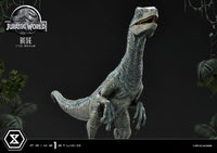 Jurassic World: Fallen Kingdom - Prime Collectibles Statue 1/10 - Blue (Open Mouth Version)