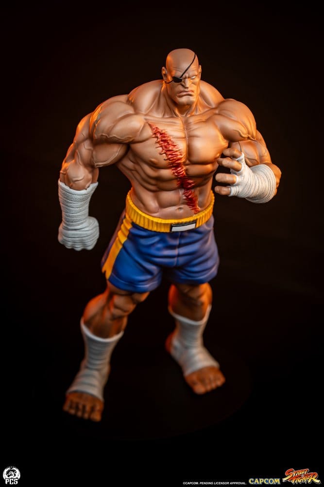 Street Fighter Street Jam Statuen 1/10 Sagat & Juli 24 cm