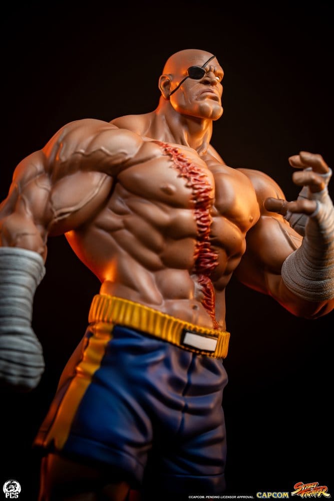 Street Fighter Street Jam Statuen 1/10 Sagat & Juli 24 cm