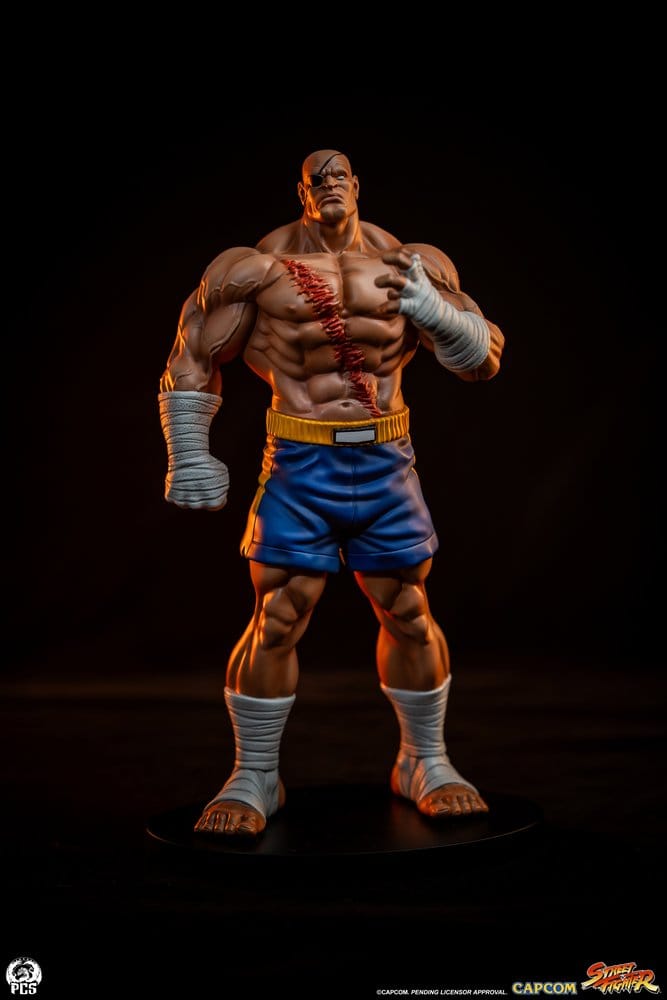 Street Fighter Street Jam Statuen 1/10 Sagat & Juli 24 cm