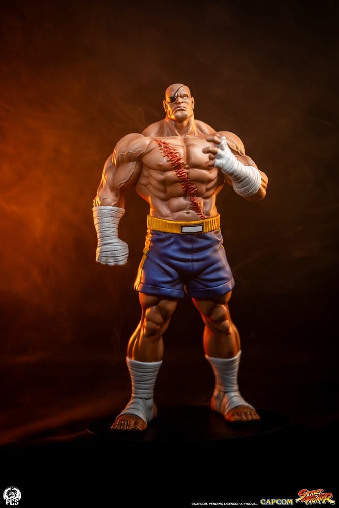 Street Fighter Street Jam Statuen 1/10 Sagat & Juli 24 cm