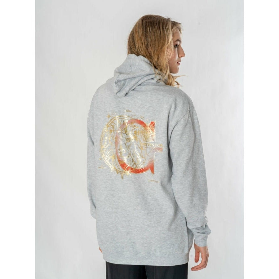 Harry Potter Hooded Sweater Gryffindor Zodiac Size M