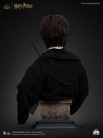 Harry Potter Bust 1/1 Harry 76 cm