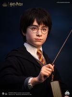 Harry Potter Bust 1/1 Harry 76 cm