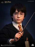 Harry Potter Bust 1/1 Harry 76 cm