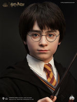 Harry Potter Bust 1/1 Harry 76 cm