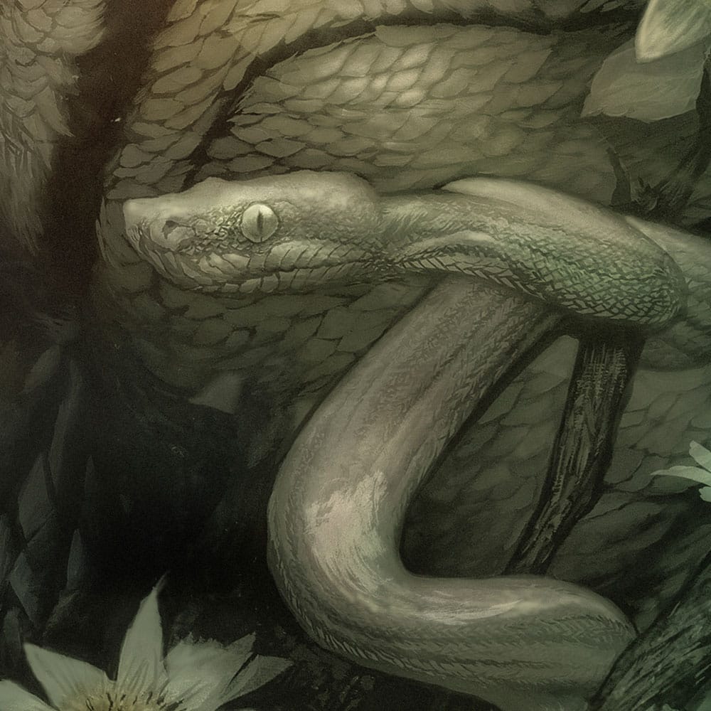 The Creature from the Black Lagoon Art Print Creature from the Black Lagoon by Dan Quintana 61 x 41 cm - unframed