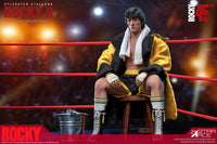 Rocky II Statue 1/6 Rocky Deluxe Version 30 cm