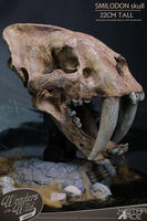 Wonders of the Wild Series Statue Smilodon Skull Fossil 22 cm