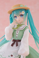 Hatsune Miku (Vocaloid) Fashion Country Version