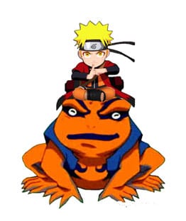 Naruto Shippuden Light Naruto and Gamakishi 20 cm