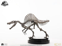 Jurassic Park III ECC Elite Creature Line Statue 1/24 Spinosaurus Skeleton Bronze 27 cm