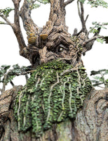 The Lord of the Rings - Statue 1/6 - Leaflock the Ent