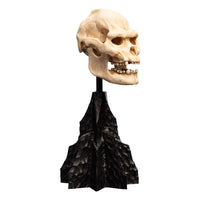 Lord of the Rings - Mini Statue - Skull of Lurtz