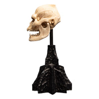 Lord of the Rings - Mini Statue - Skull of Lurtz