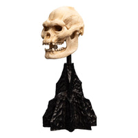 Lord of the Rings - Mini Statue - Skull of Lurtz