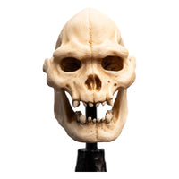 Lord of the Rings - Mini Statue - Skull of Lurtz