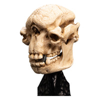 Lord of the Rings - Mini Statue - Skull of a Cave Troll