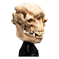 Lord of the Rings - Mini Statue - Skull of a Cave Troll