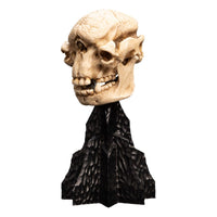 Lord of the Rings - Mini Statue - Skull of a Cave Troll