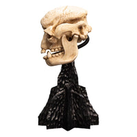 Lord of the Rings - Mini Statue - Skull of a Cave Troll