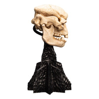 Lord of the Rings - Mini Statue - Skull of a Cave Troll