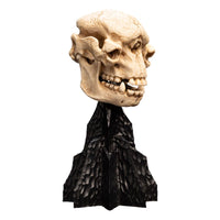 Lord of the Rings - Mini Statue - Skull of a Cave Troll