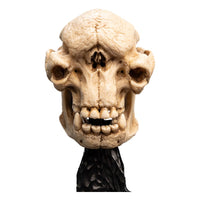 Lord of the Rings - Mini Statue - Skull of a Cave Troll