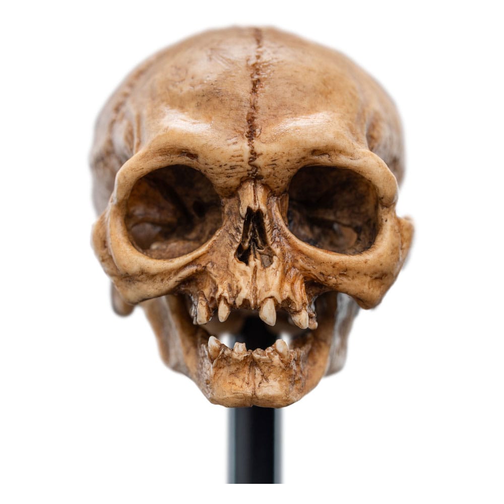 Lord of the Rings - Mini Statue - Skull of Gollum