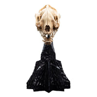 Lord of the Rings - Mini Statue - Skull of a Warg