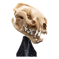 Lord of the Rings - Mini Statue - Skull of a Warg