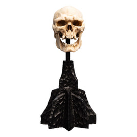 Lord of the Rings - Mini Statue - Skull of a Mordor Orc