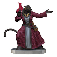 Critical Role pre-painted Miniatures The Tombtakers Boxed Set