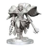 D&D Nolzur's Marvelous Miniatures Unpainted Miniatures 2-Pack Aasimar Cleric Male