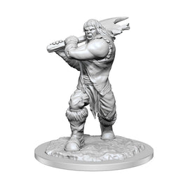 D&D Nolzur's Marvelous Miniatures Unpainted Miniature Ogre Female Case (2)